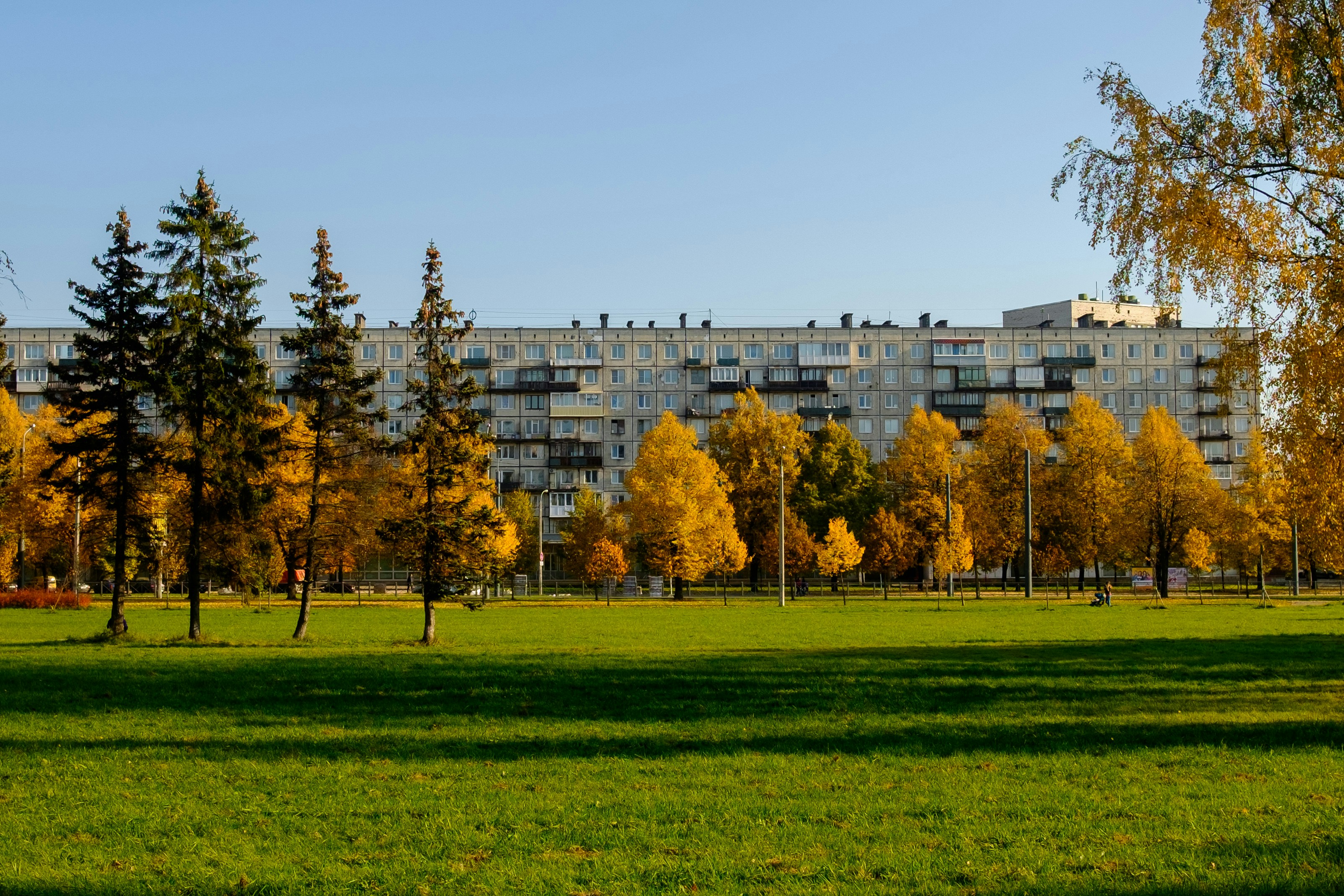 a grassy field with trees and a building in the background