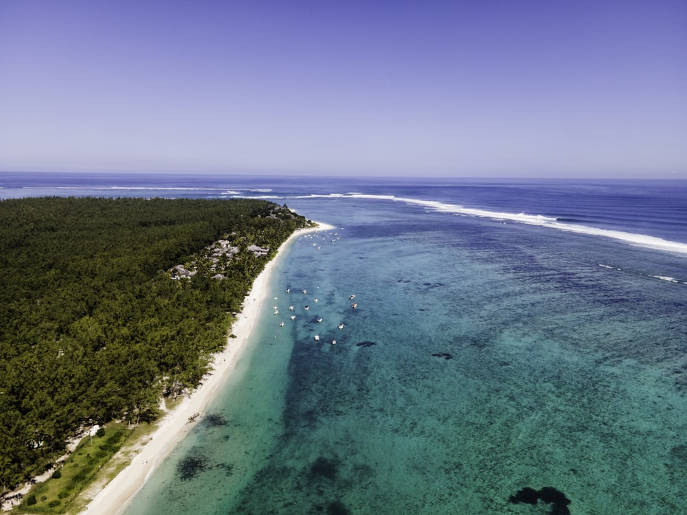 Vista aérea de uma praia e de um corpo d'água