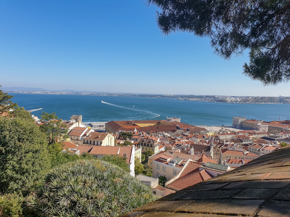 a view of a city and a body of water