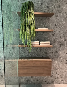 A stylish bathroom with water-resistant wooden shelves holding neatly arranged toiletries and plants.