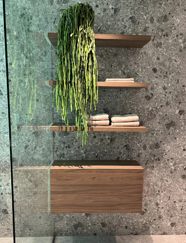 A bathroom shelf with elegant storage solutions and modern fixtures