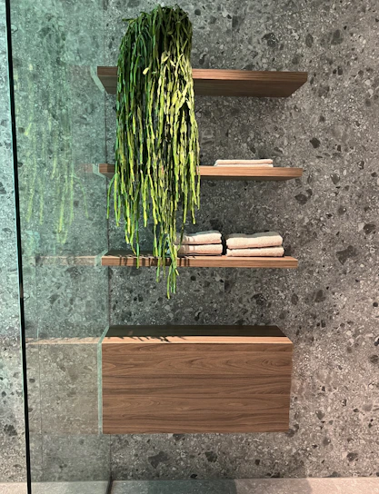 A modern bathroom shelf neatly holding toiletries with aquanest's stackable organizers and hooks.