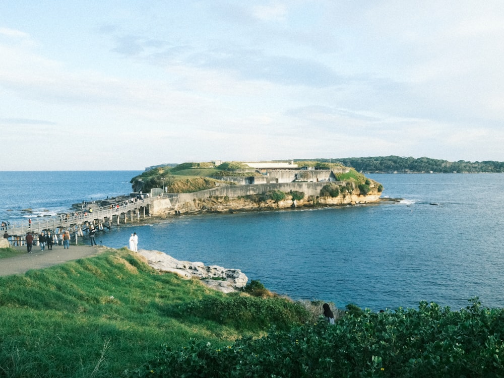 a group of people standing on top of a lush green hillside next to the ocean