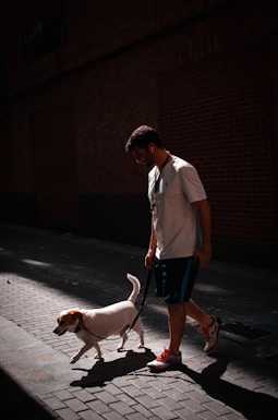 a man walking a dog down a street