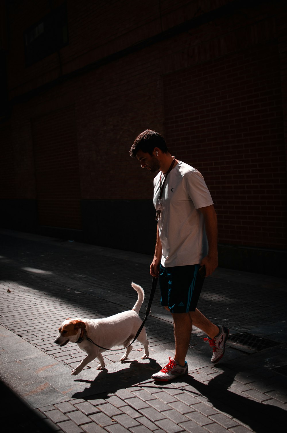 a man walking a dog down a street