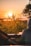 A peaceful sunset over a lush forest landscape with silhouetted trees and foliage. The sun is low in the sky, casting a warm golden glow across the scene. A blurry figure sits in the foreground, possibly at a wooden table or bench, enjoying the view.