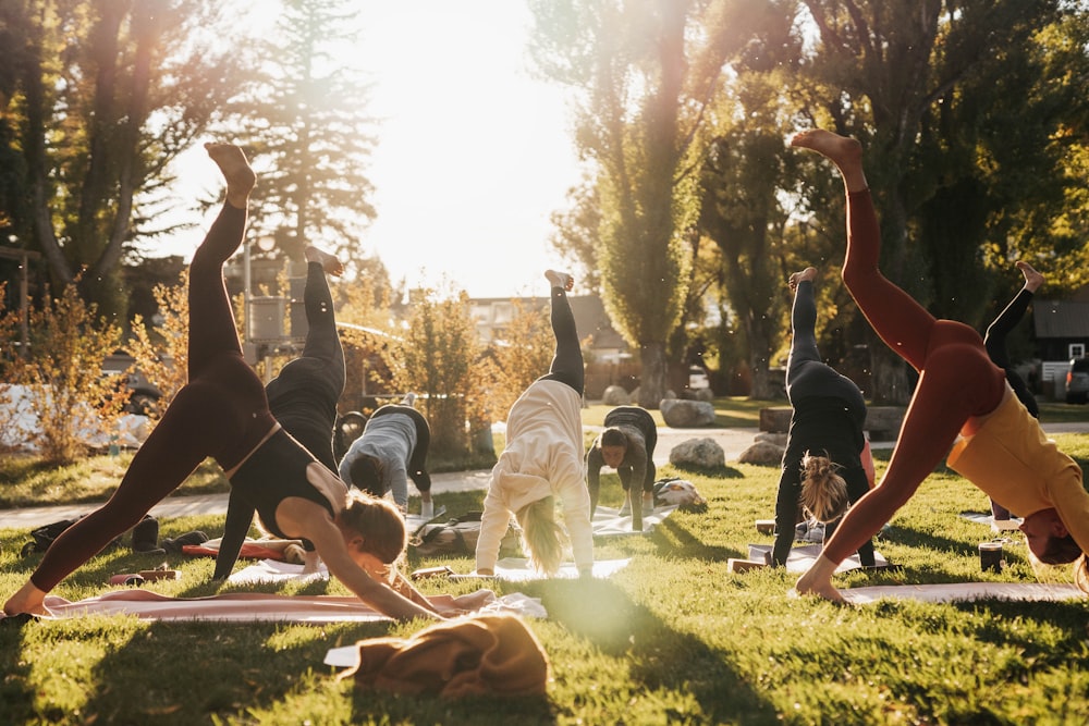 a group of people doing yoga in a park