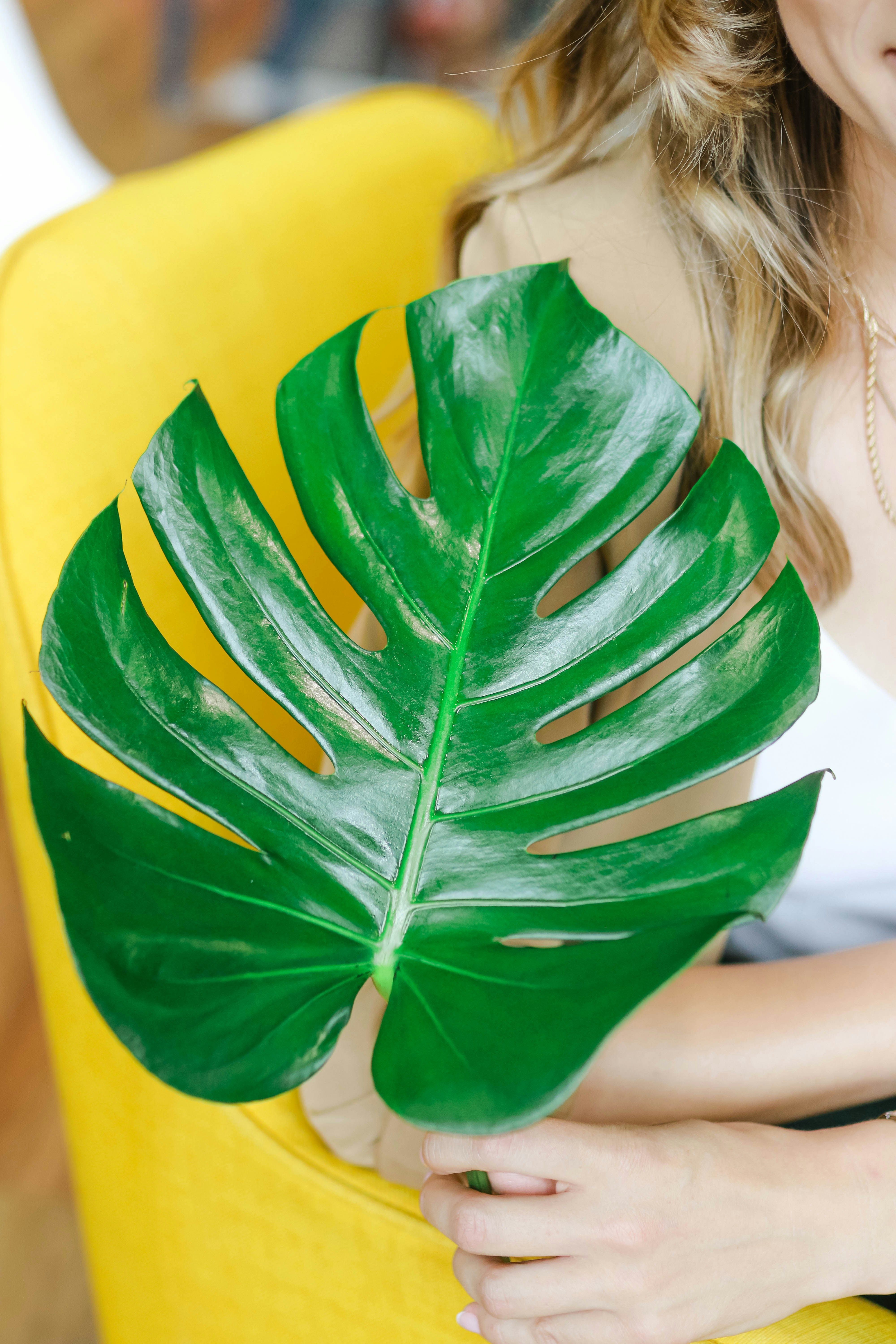 6 Eco-Friendly Skincare Habits for Long-Term Impact