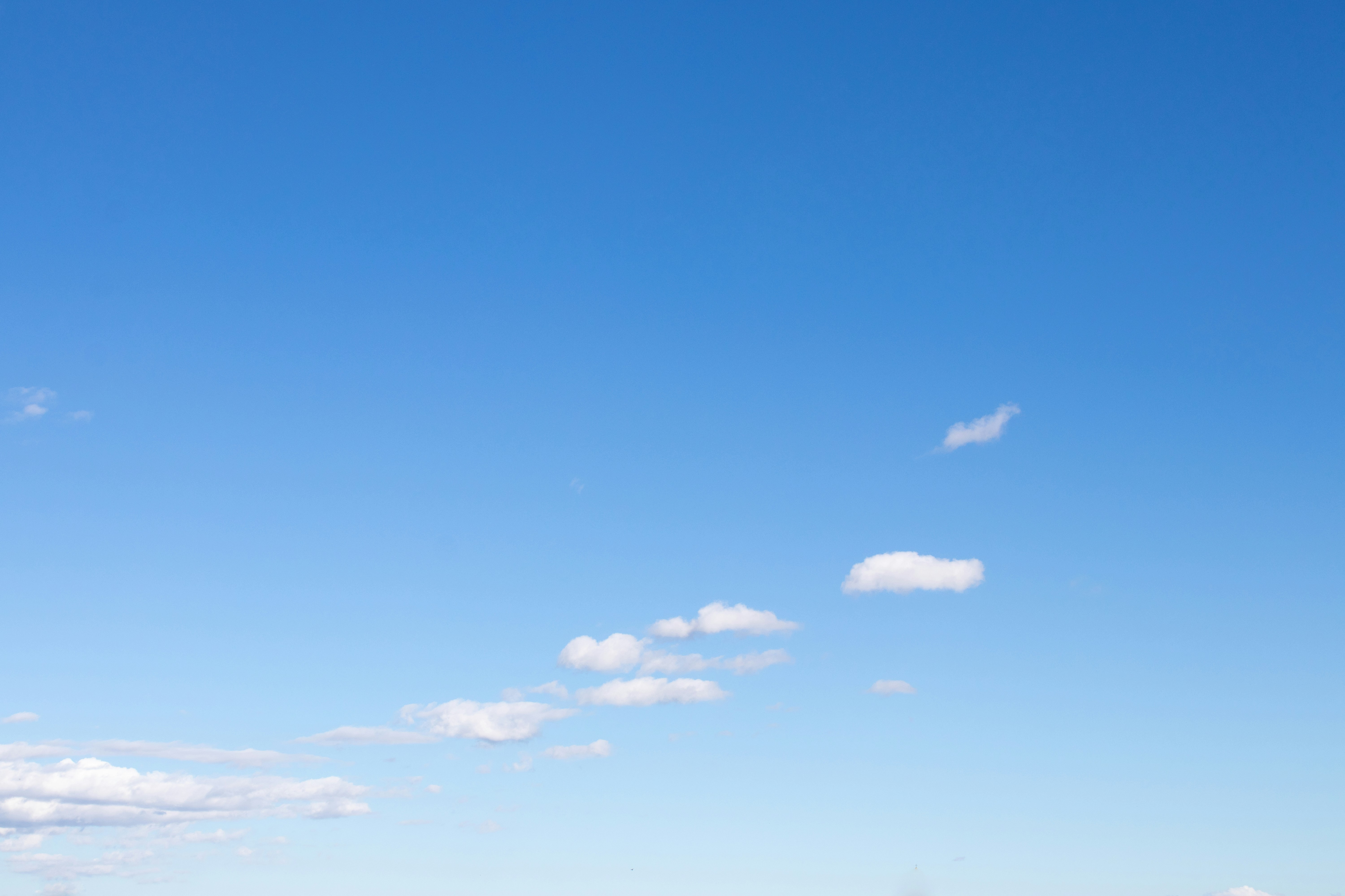 a group of people standing on a beach flying a kite