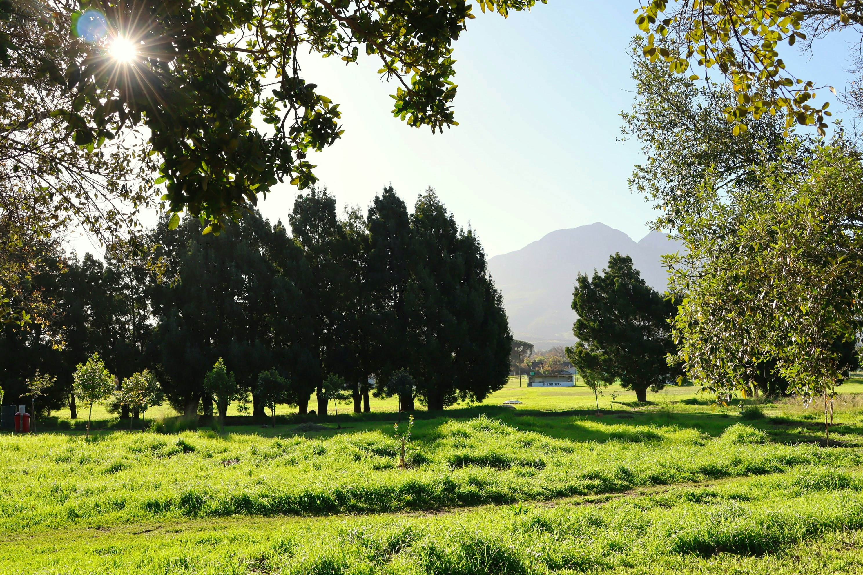 Photo by vladescunikita