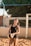 a woman holding a volleyball on a beach