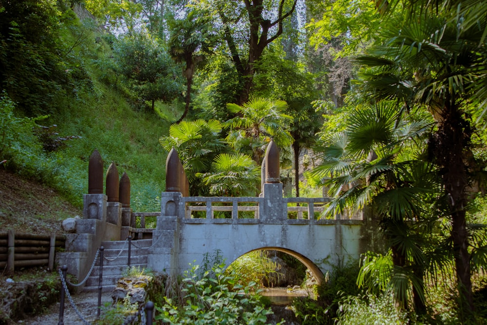 a bridge in the middle of a lush green forest