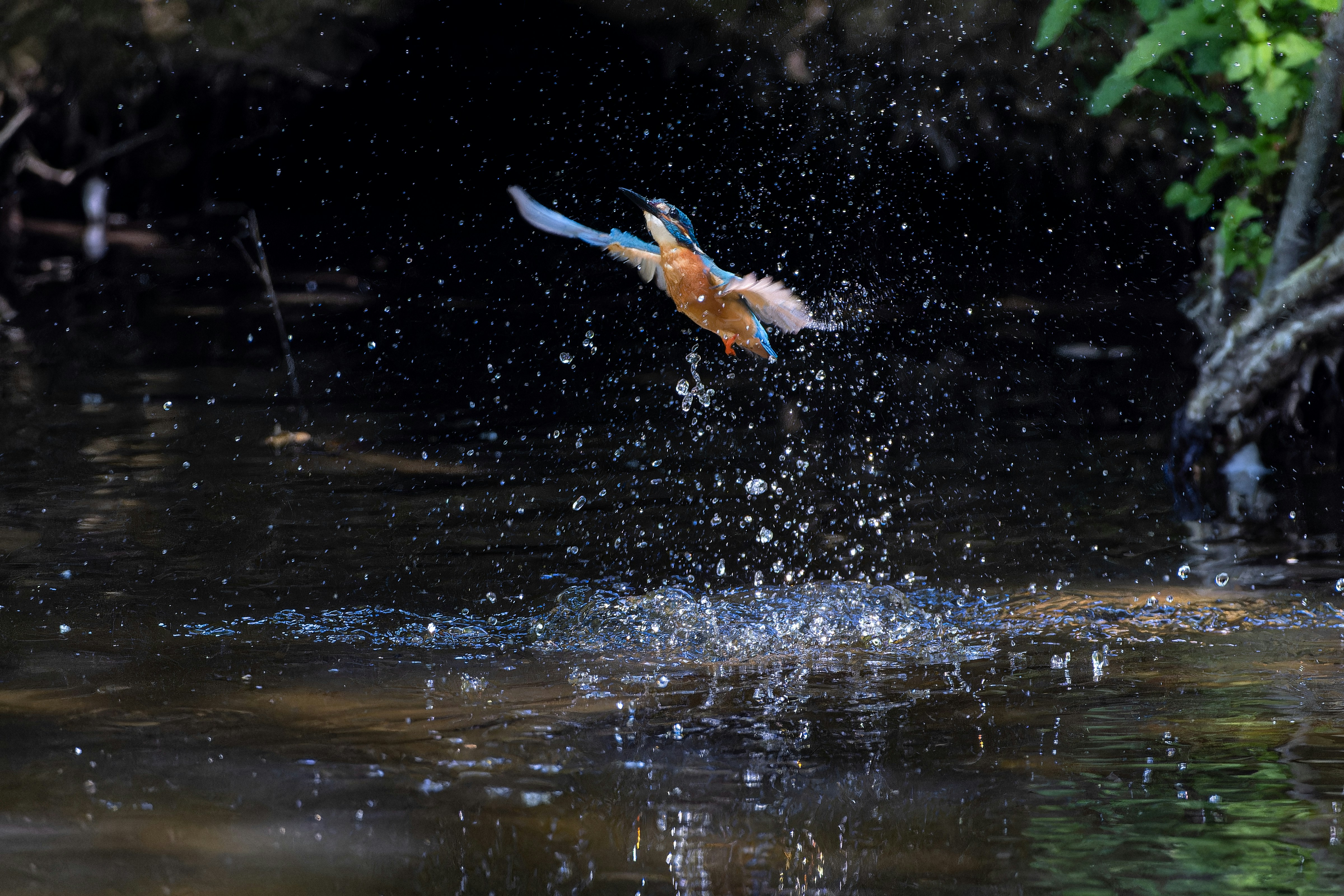 Photo by siegfriedpoepperl