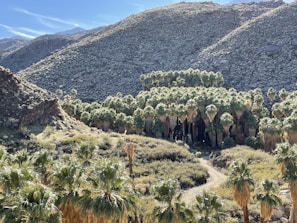 Private guide pointing out unique desert flora to an attentive traveler.