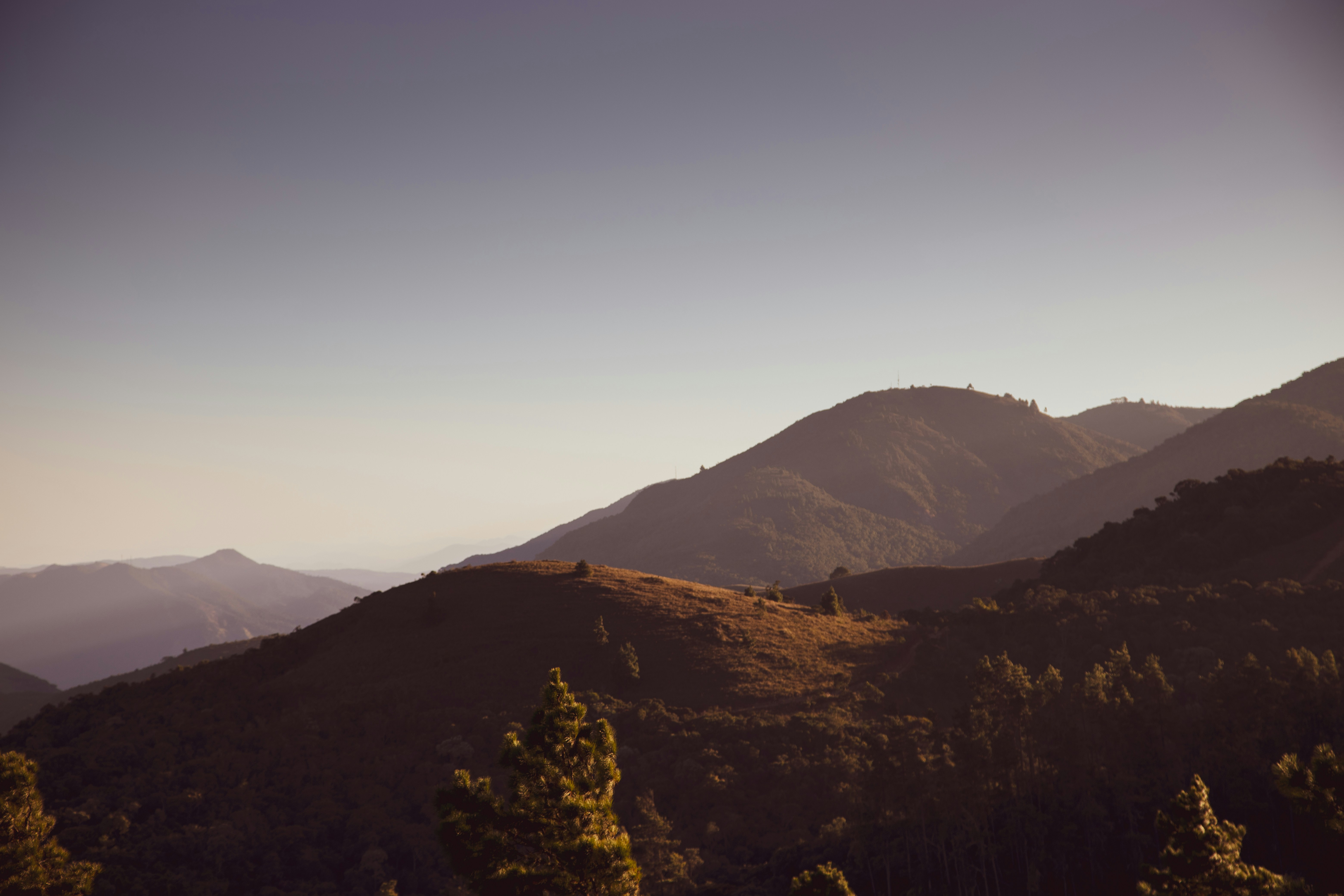 Photo by igorhalfeld