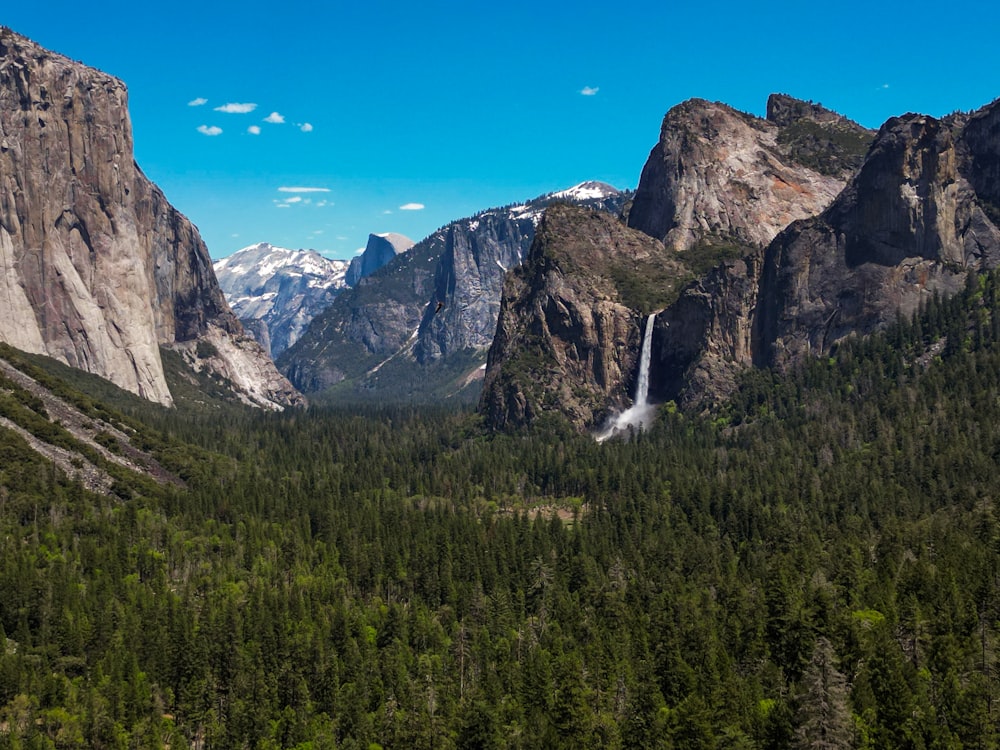 a view of a waterfall in the middle of a forest