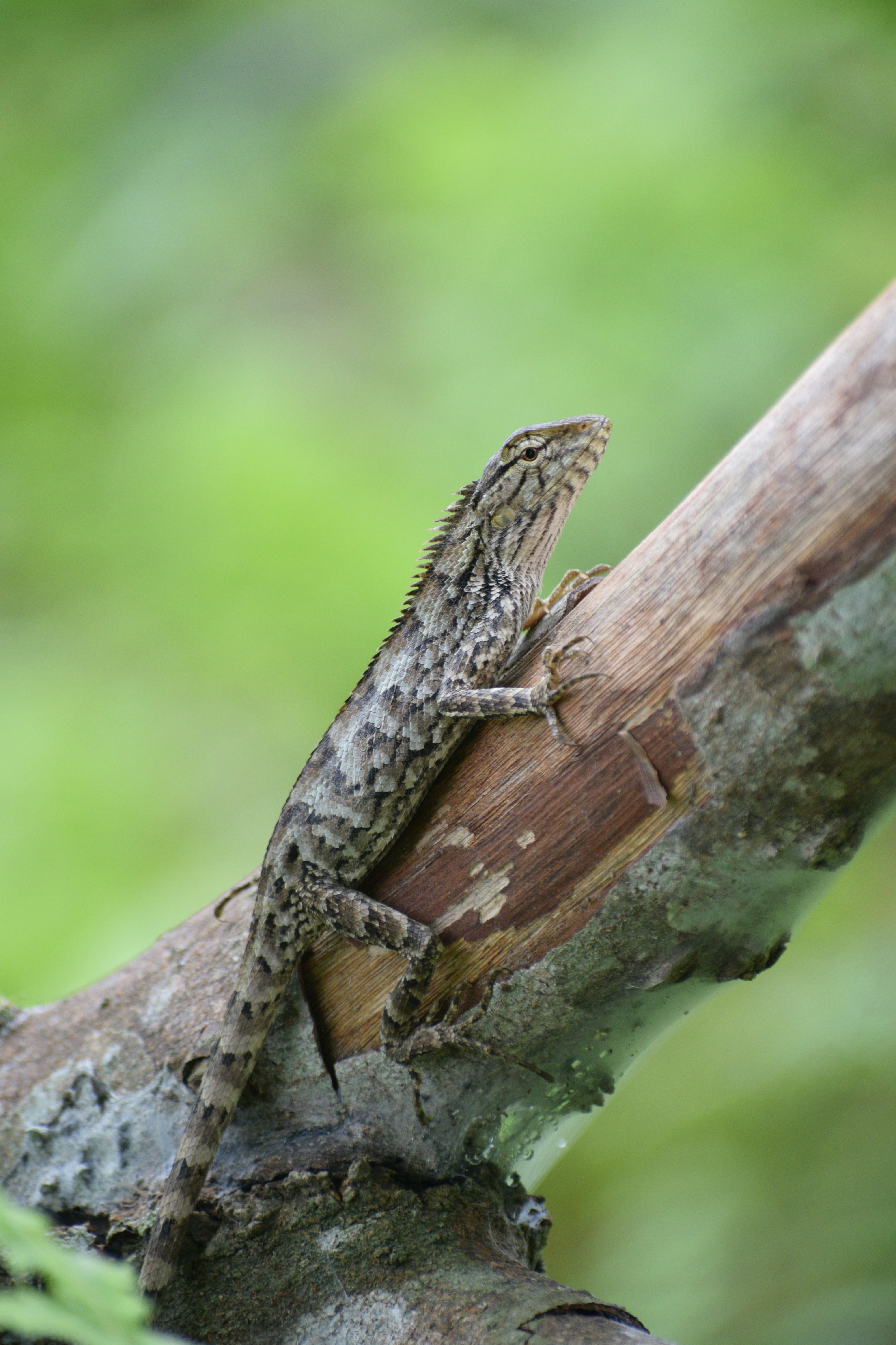 Photo by sujaybarmanofficial