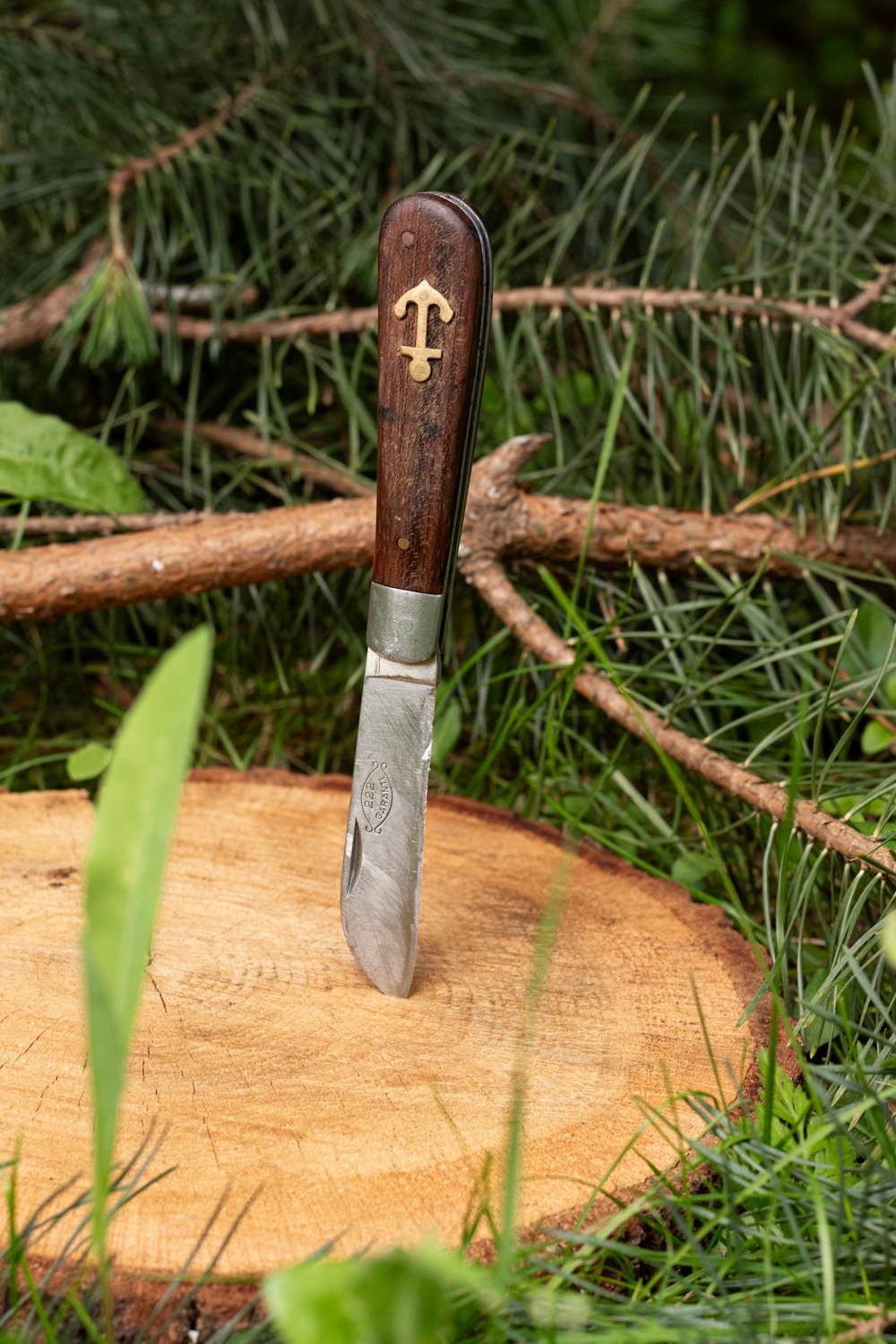 a knife that is sitting on a tree stump