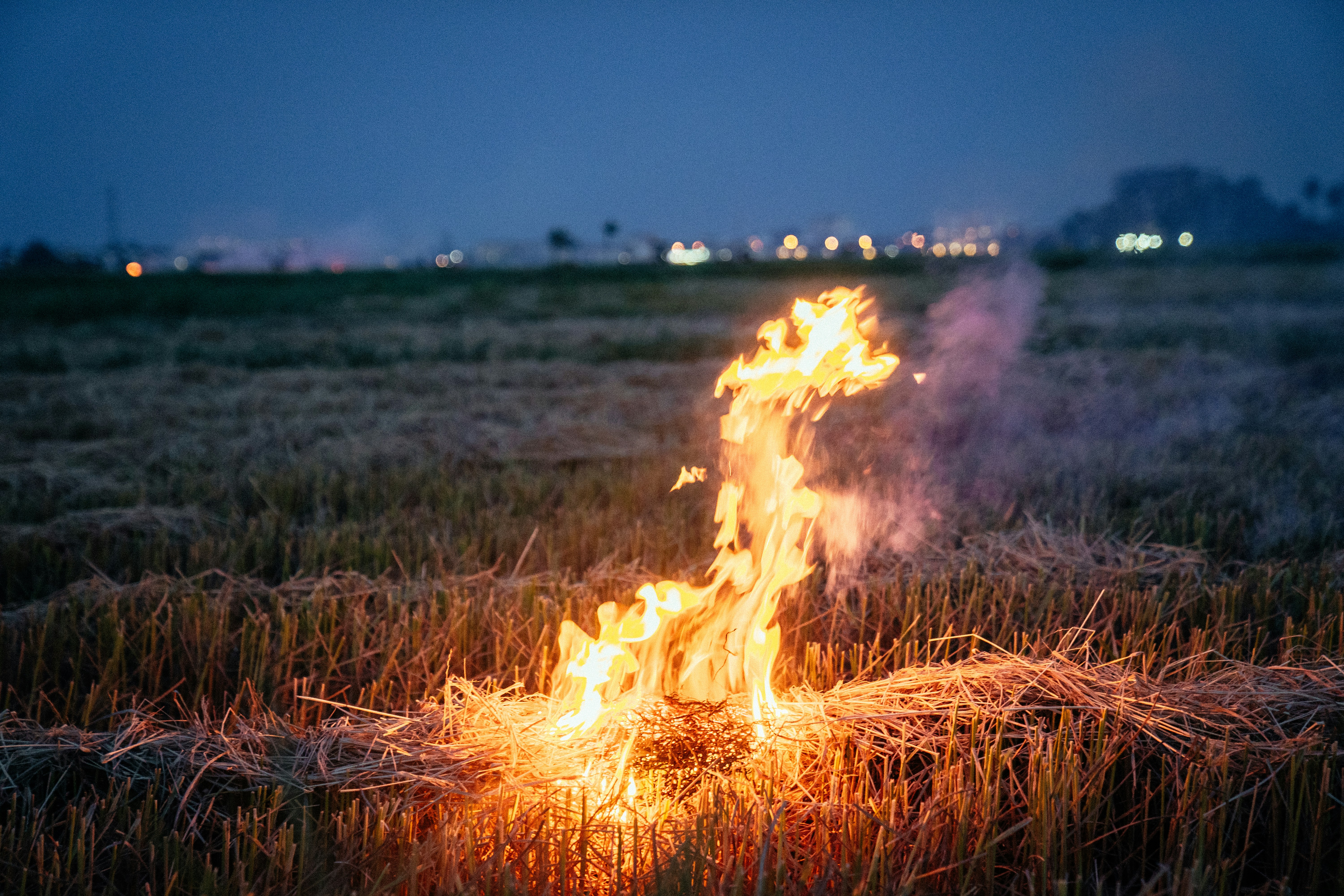un campo que tiene algún tipo de fuego en él