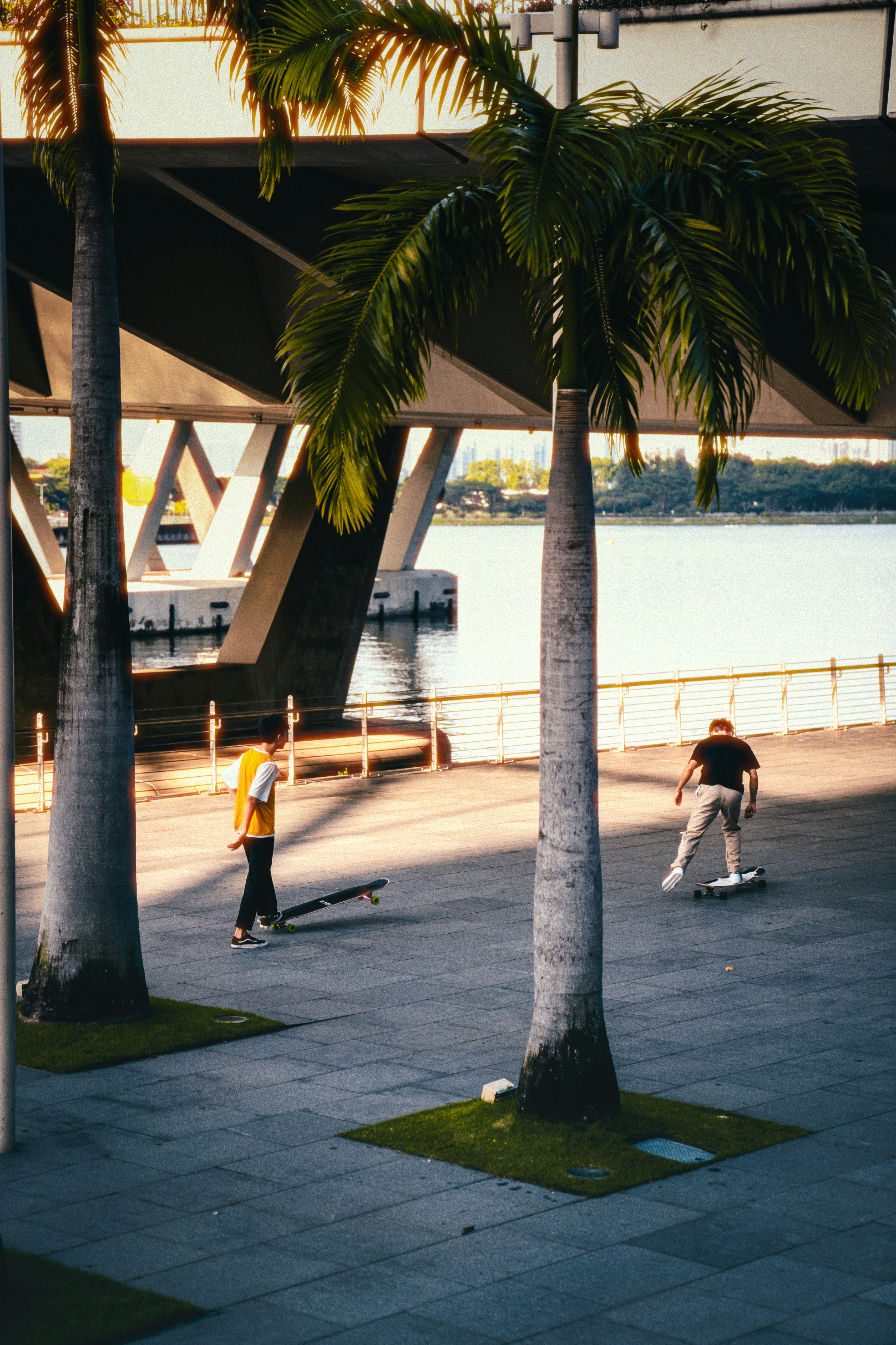 Un grupo de personas montando patinetas por una acera