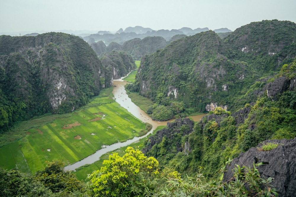 a river running through a lush green valley