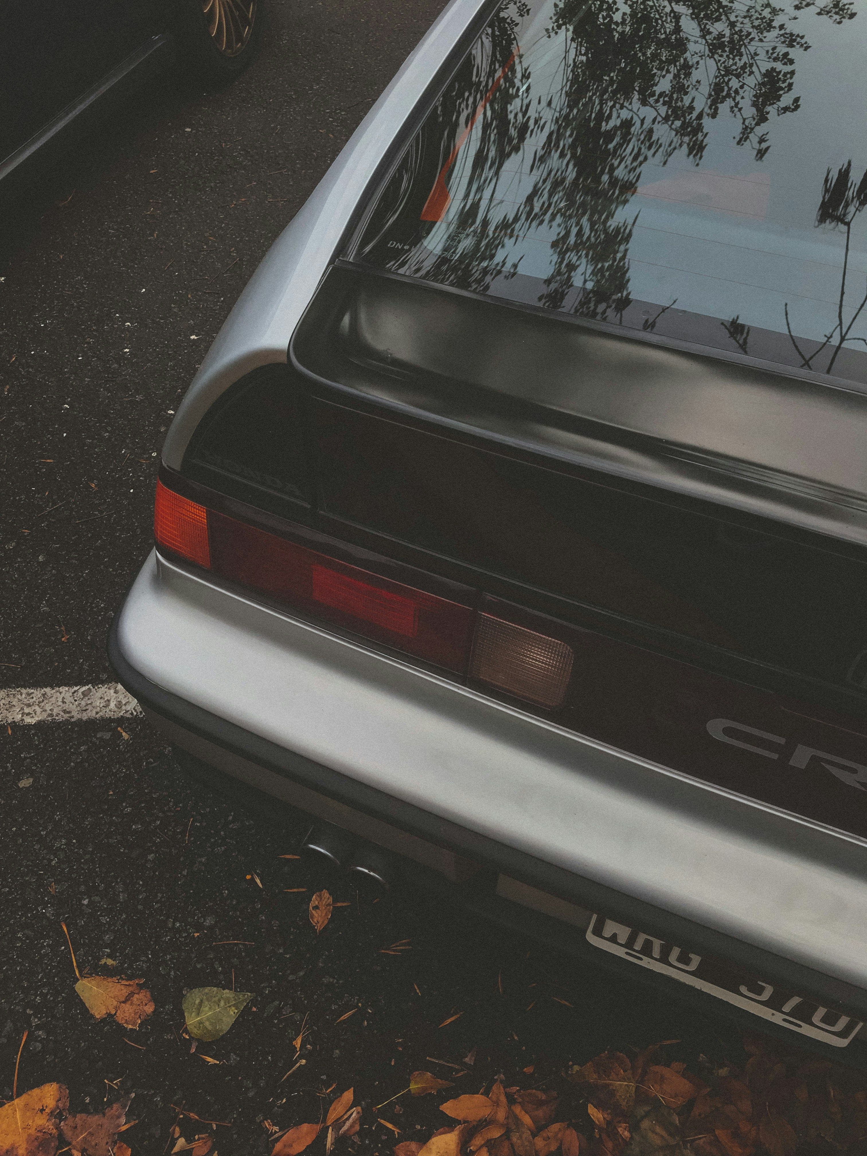 Photo by tomasmantegazza_