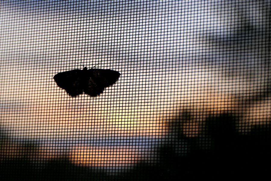 Tela de mosquiteira numa janela, com uma borboleta pousada e o pôr do sol ao fundo