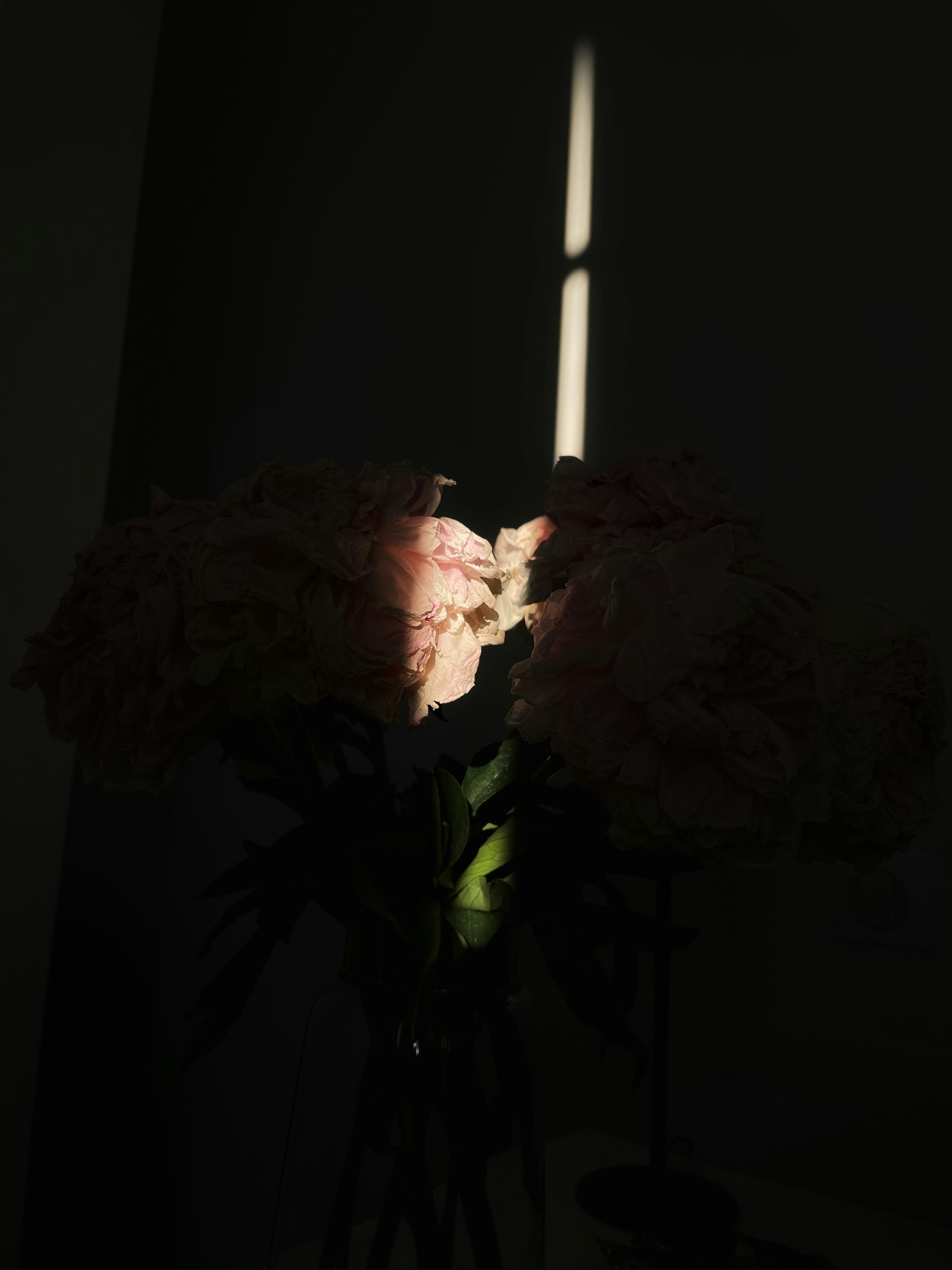 Photo by henri0019