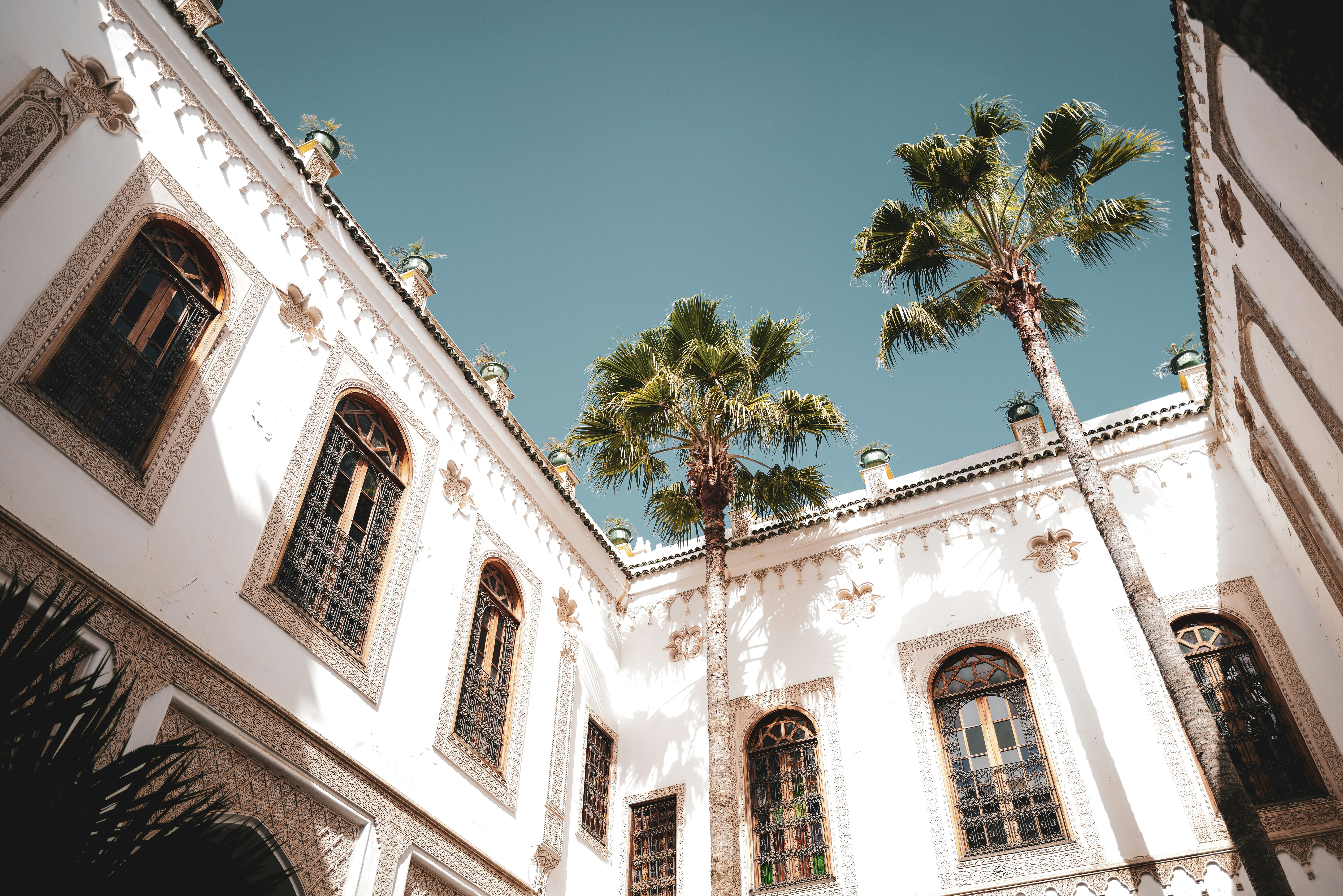 un edificio bianco con palme di fronte ad esso