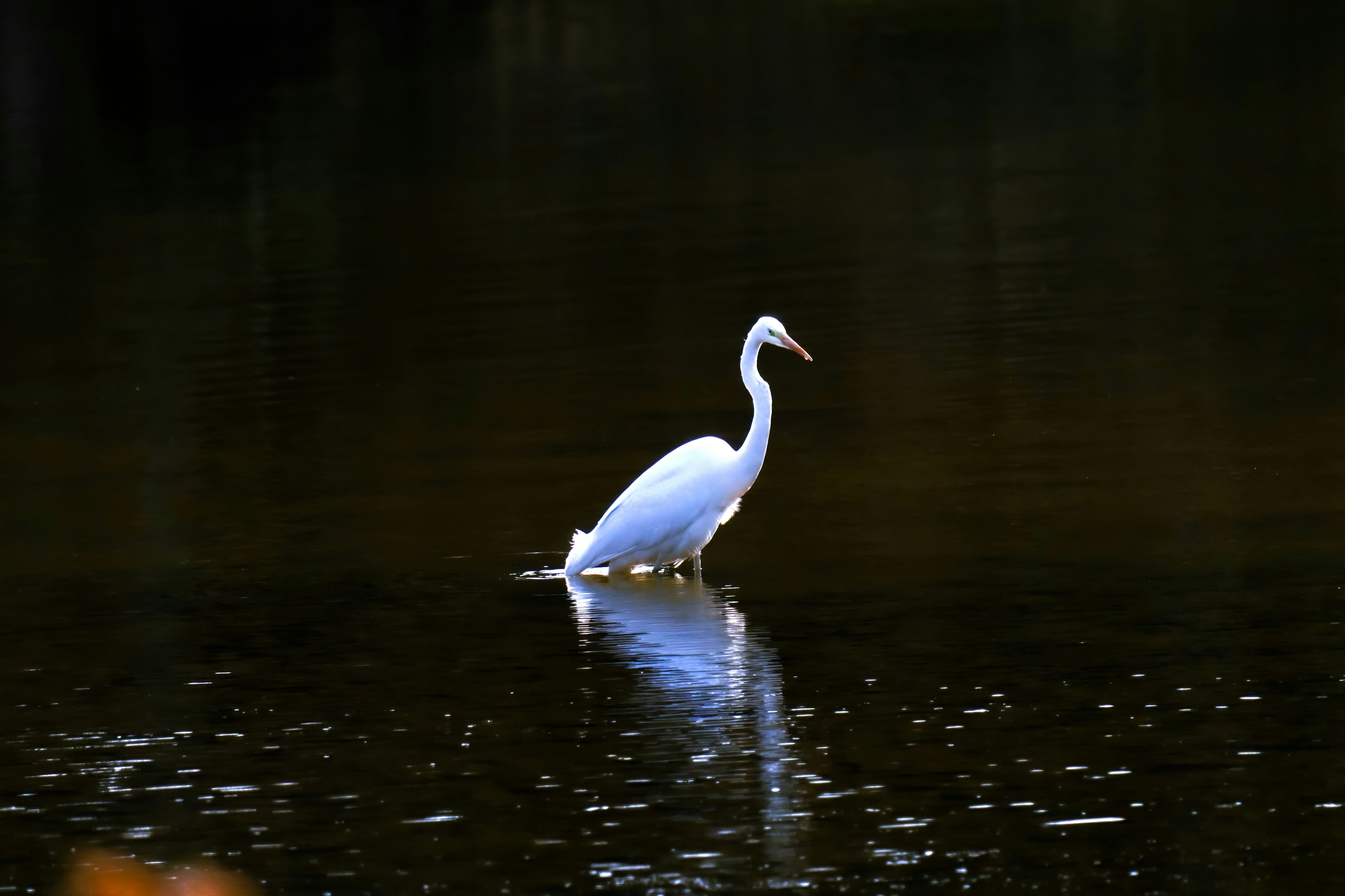 Photo by kim_dae_jeung