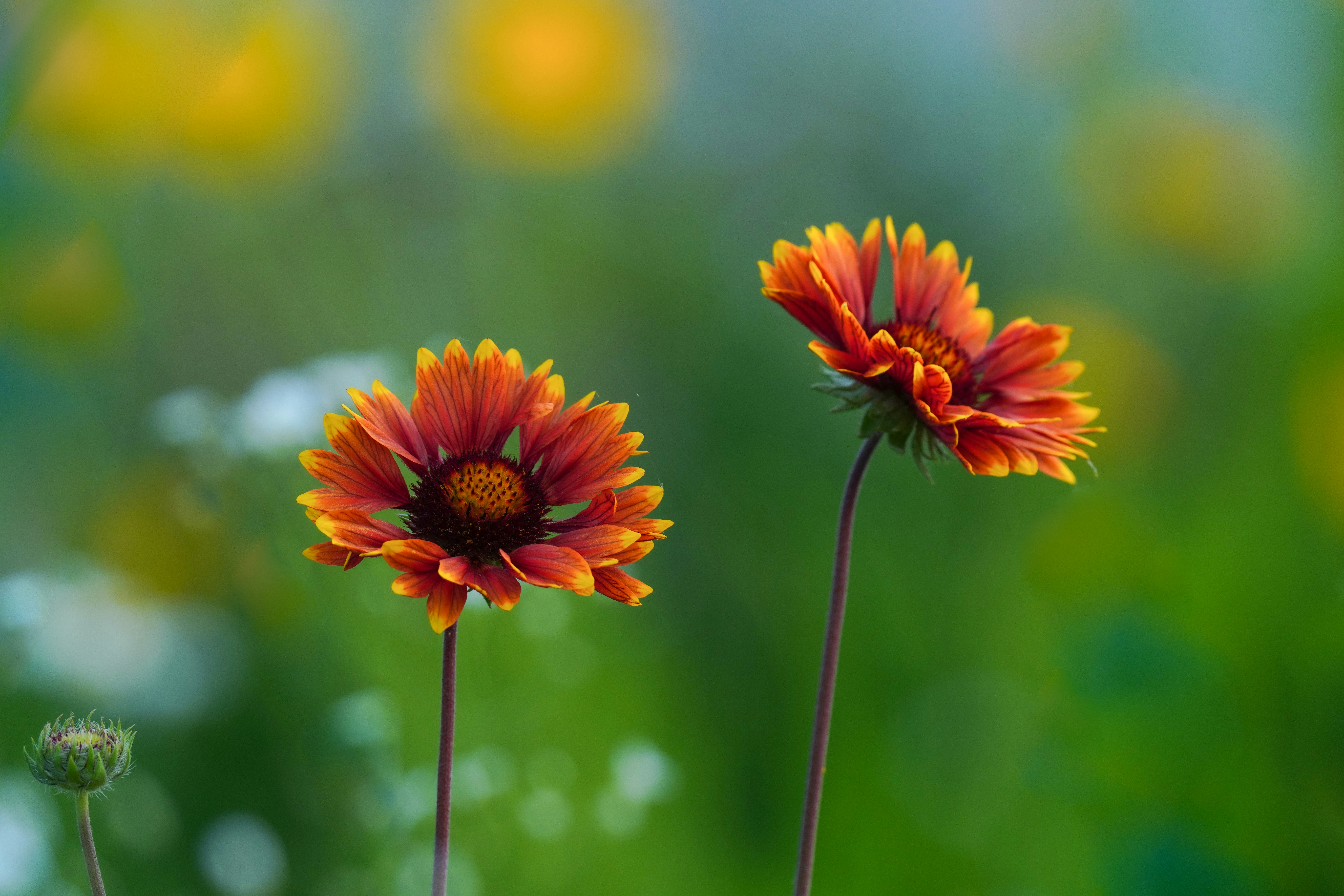 Photo by kim_dae_jeung