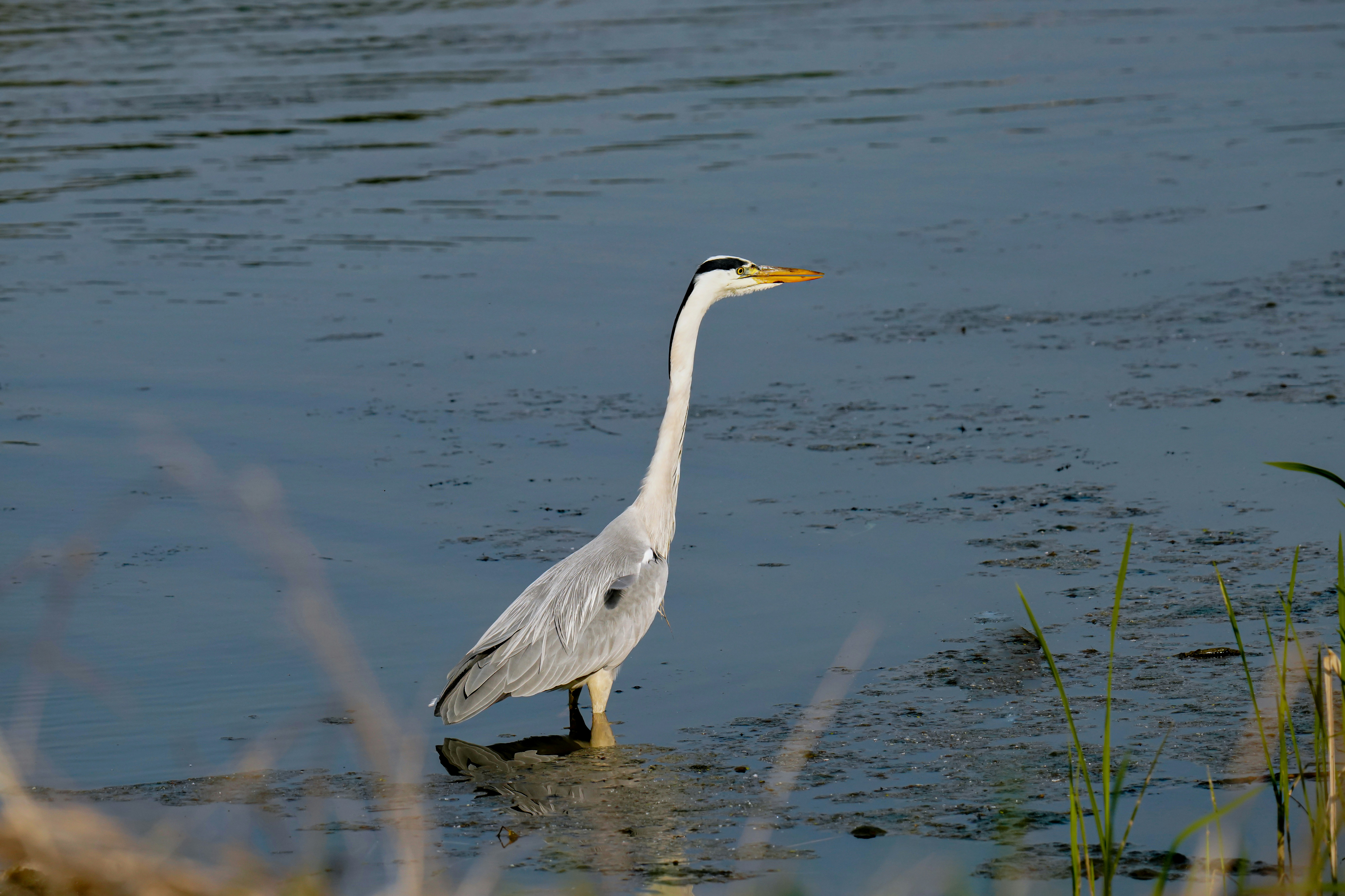 Photo by kim_dae_jeung