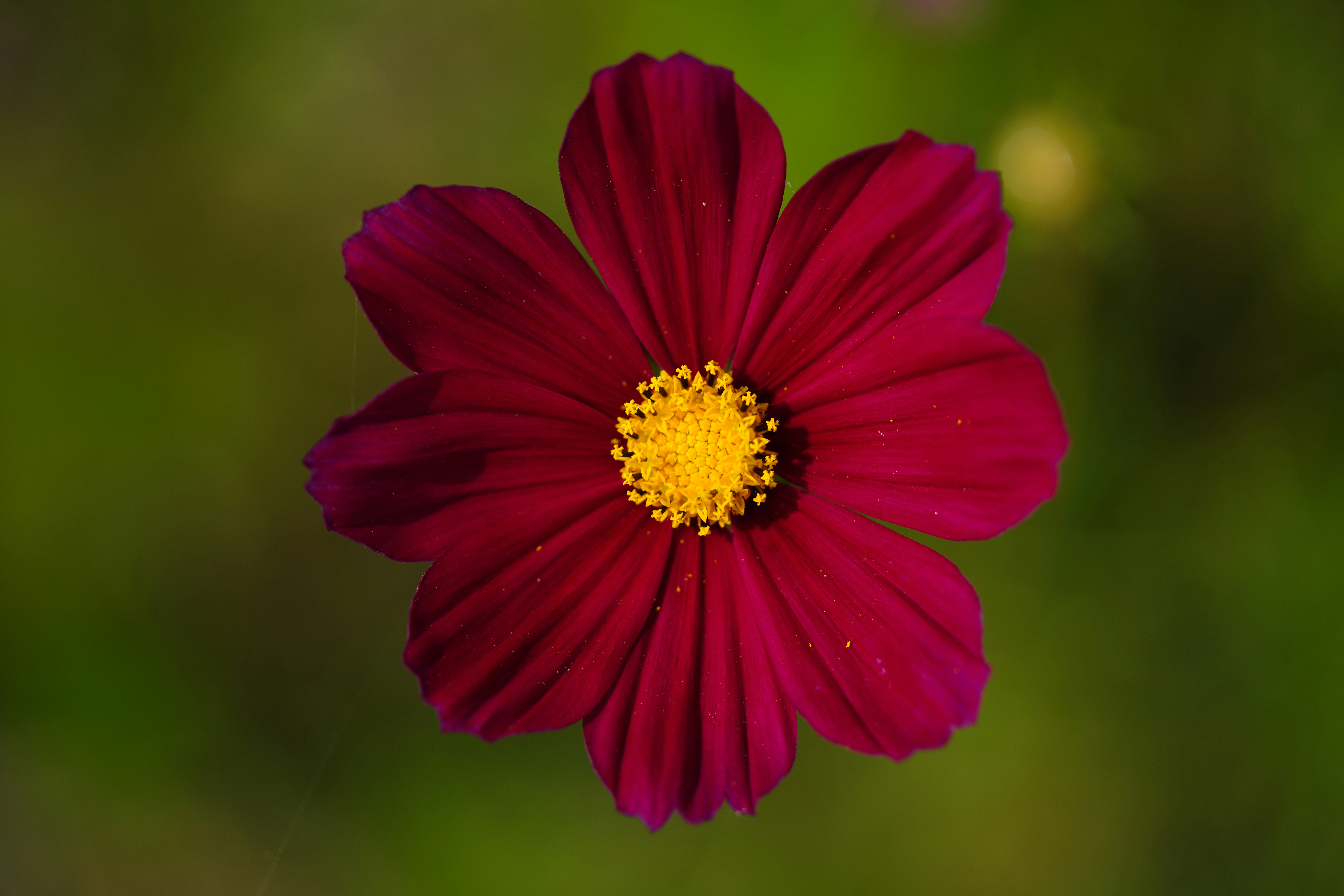 Photo by kim_dae_jeung