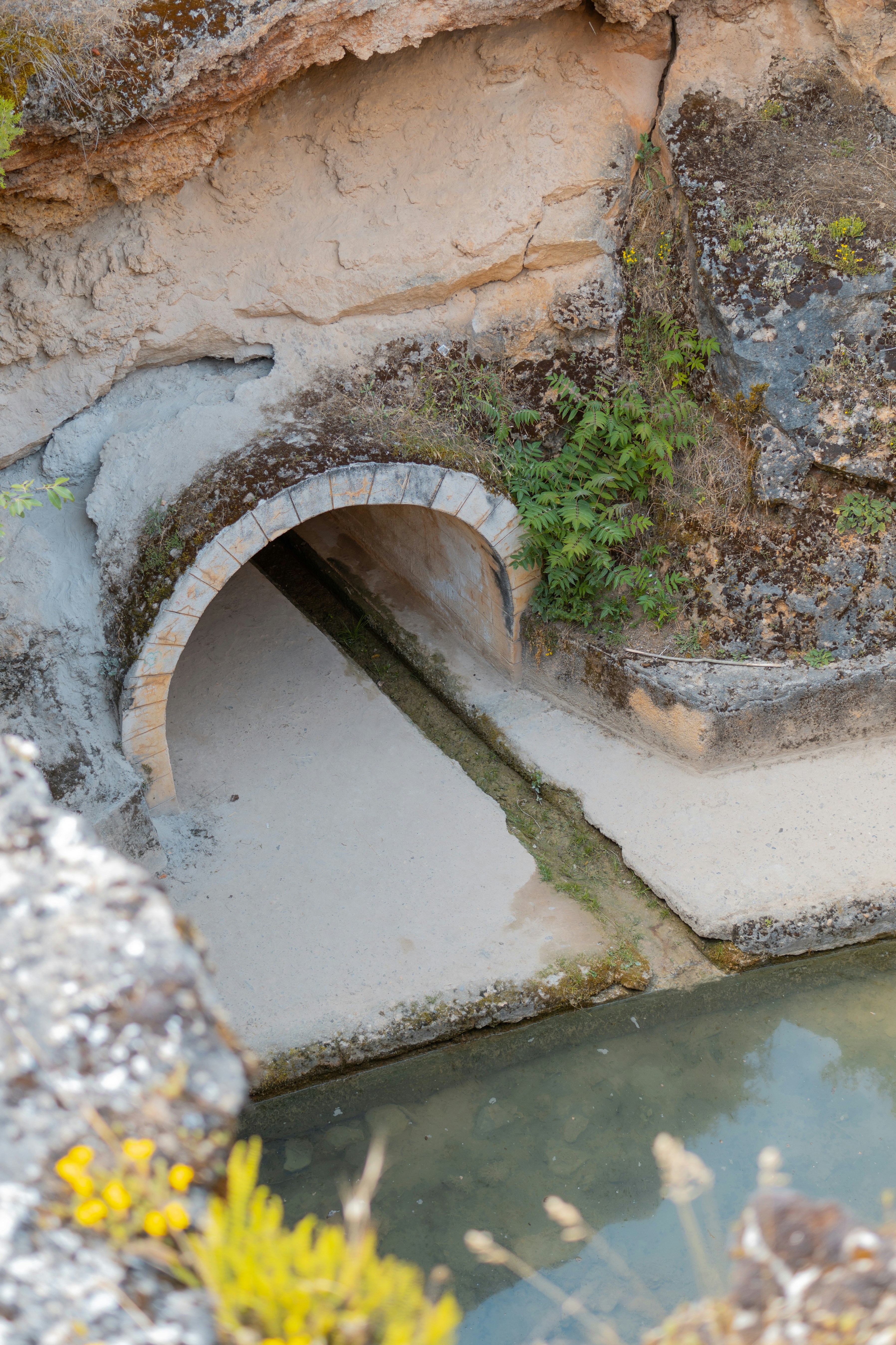 a cave entrance with a small stream running through it