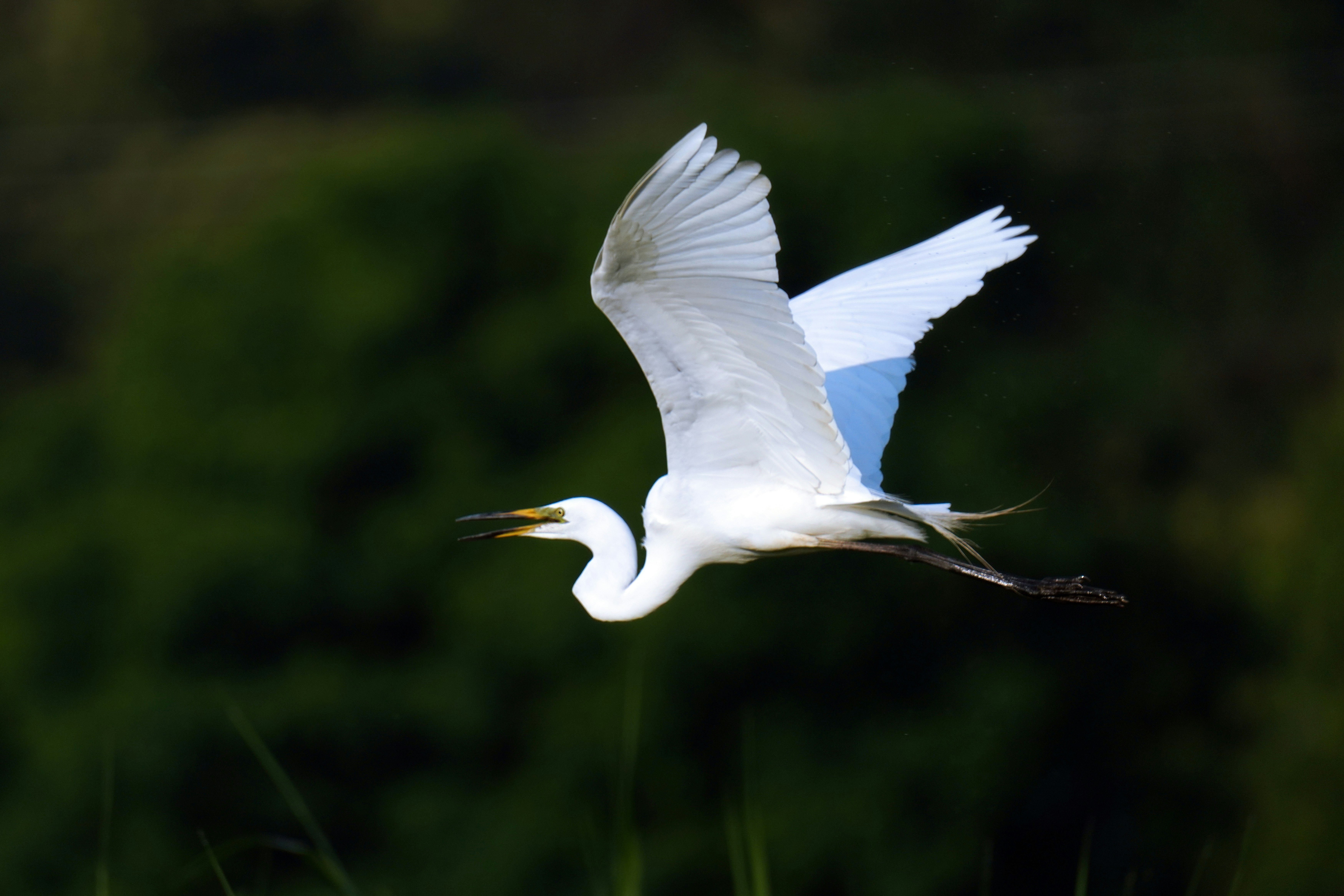 Photo by kim_dae_jeung