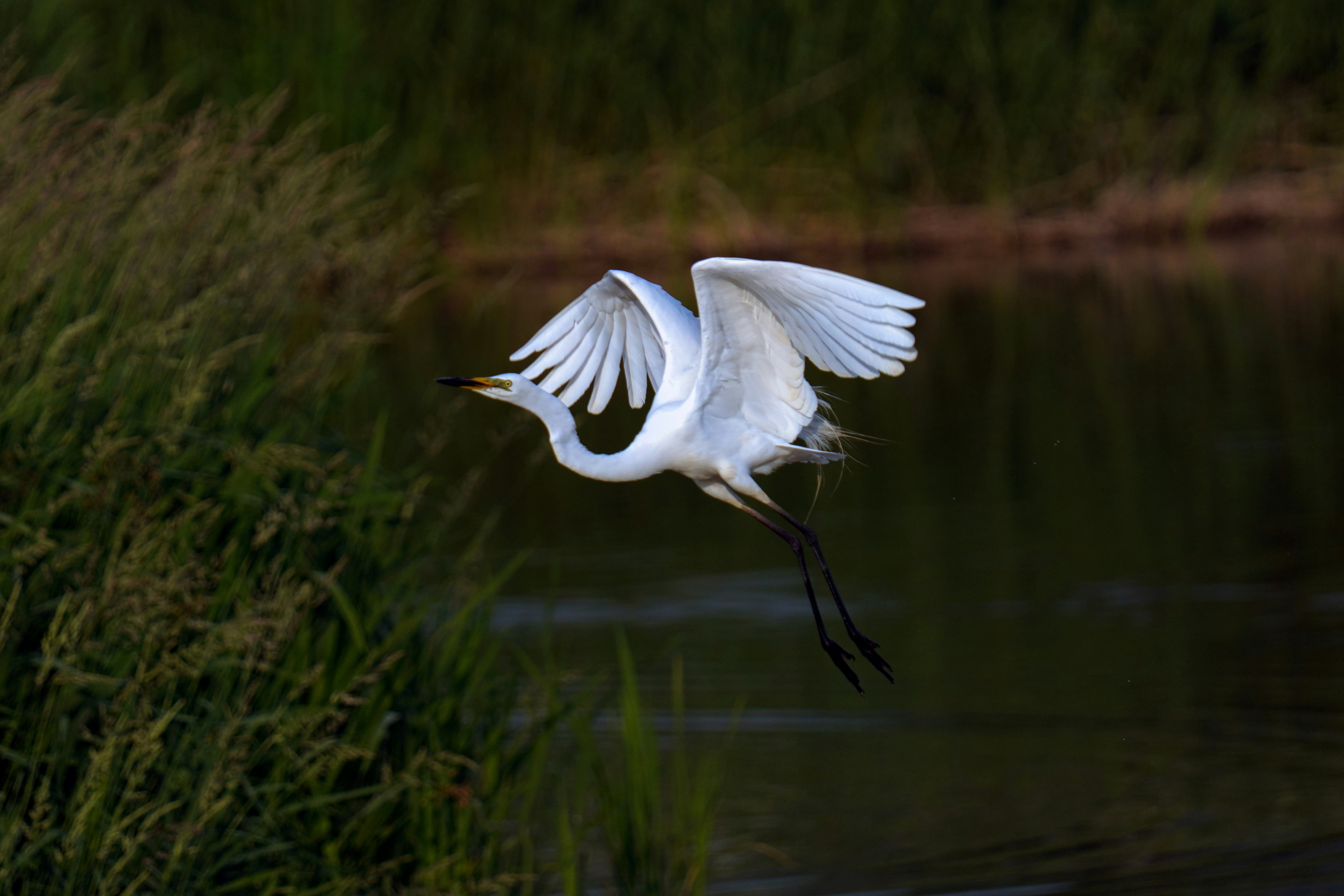 Photo by kim_dae_jeung