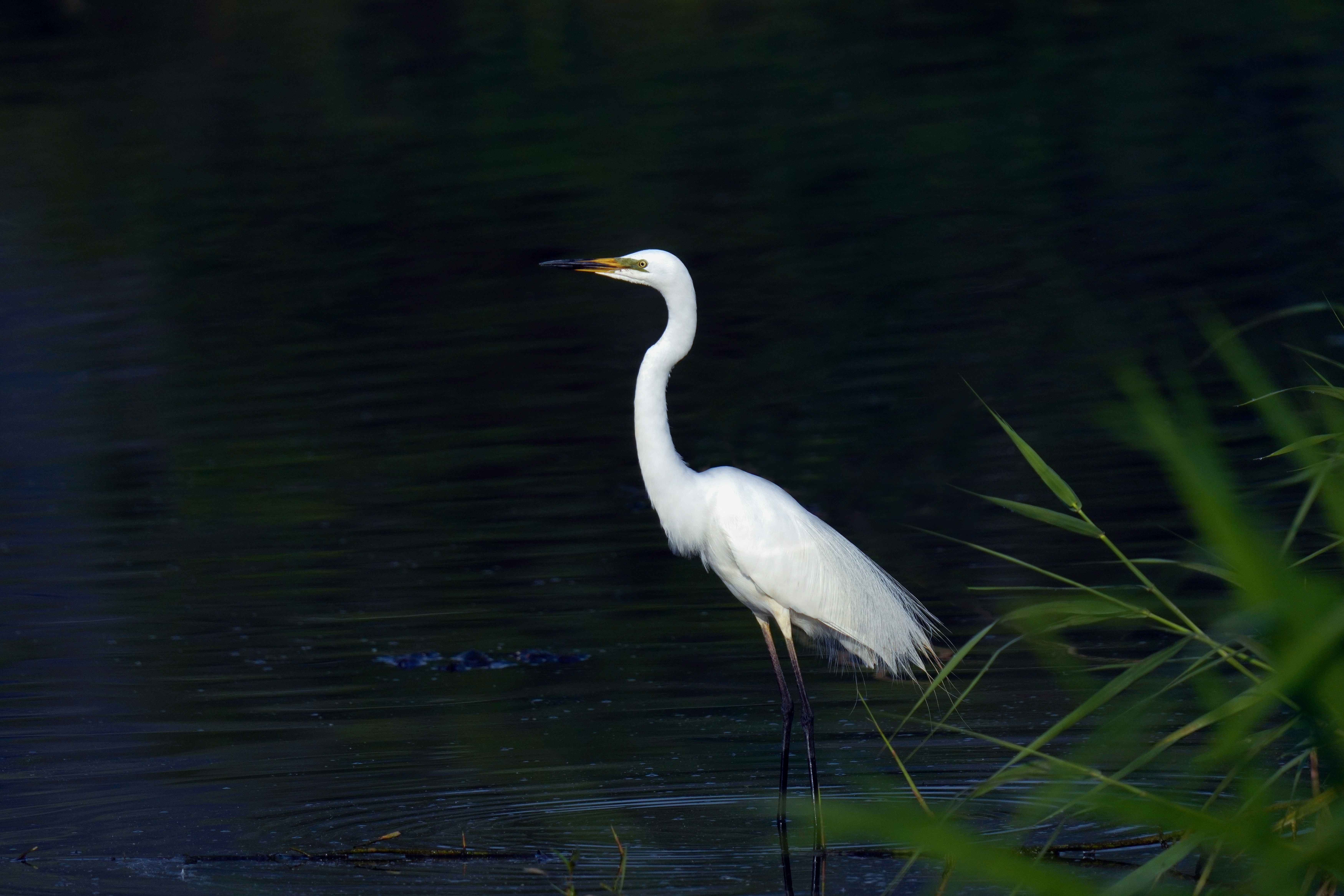 Photo by kim_dae_jeung