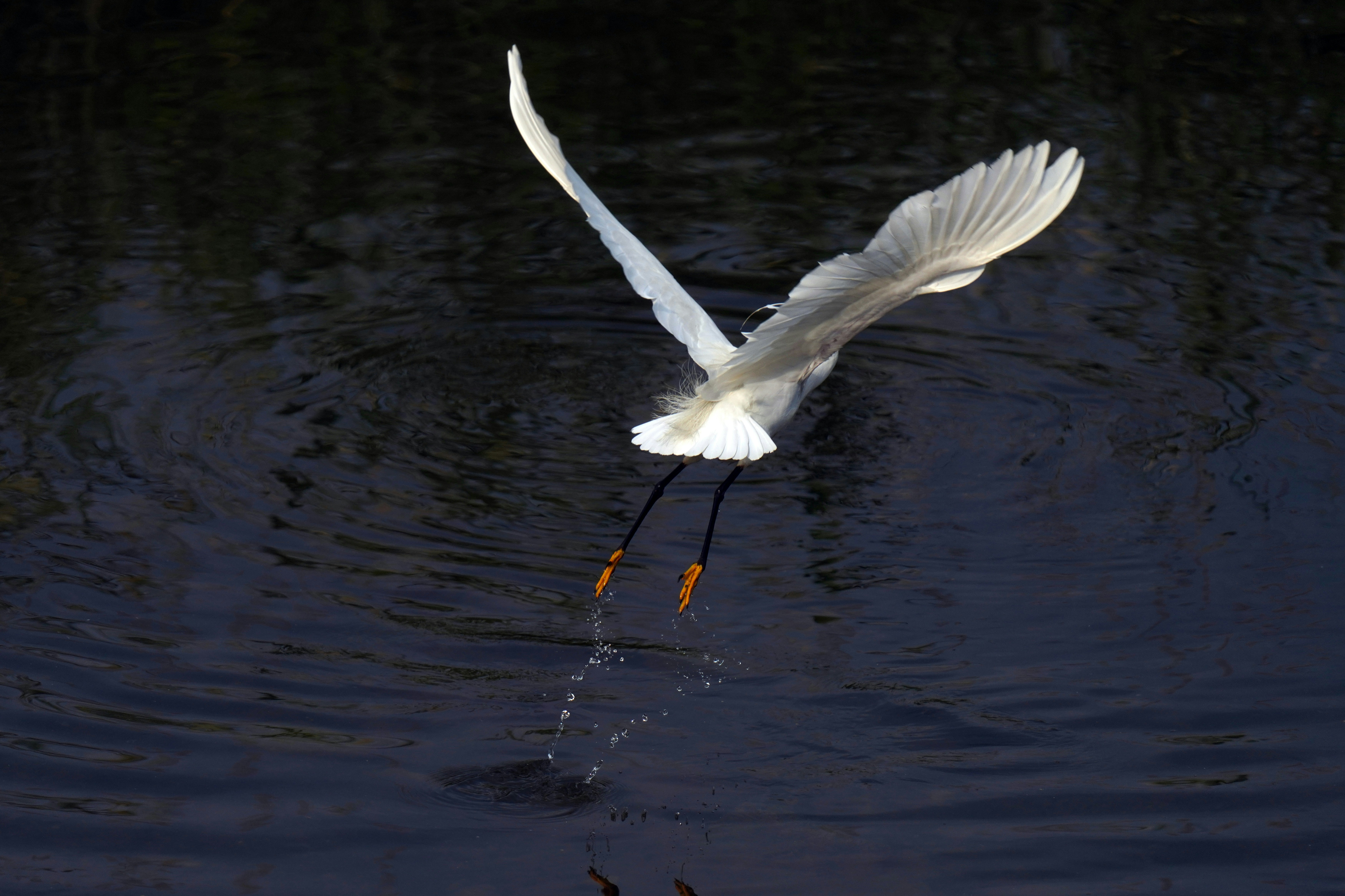 Photo by kim_dae_jeung