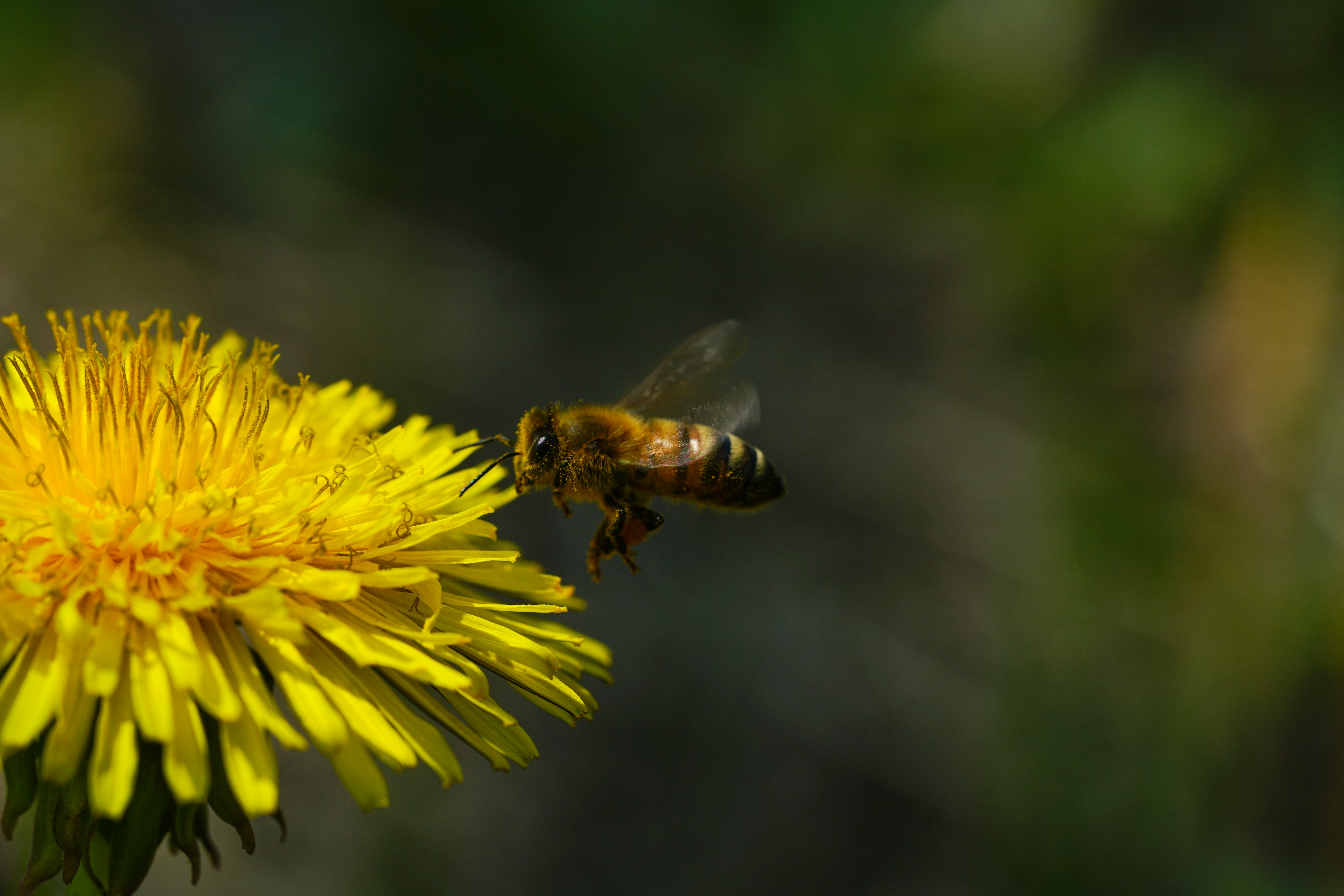 Photo by kim_dae_jeung