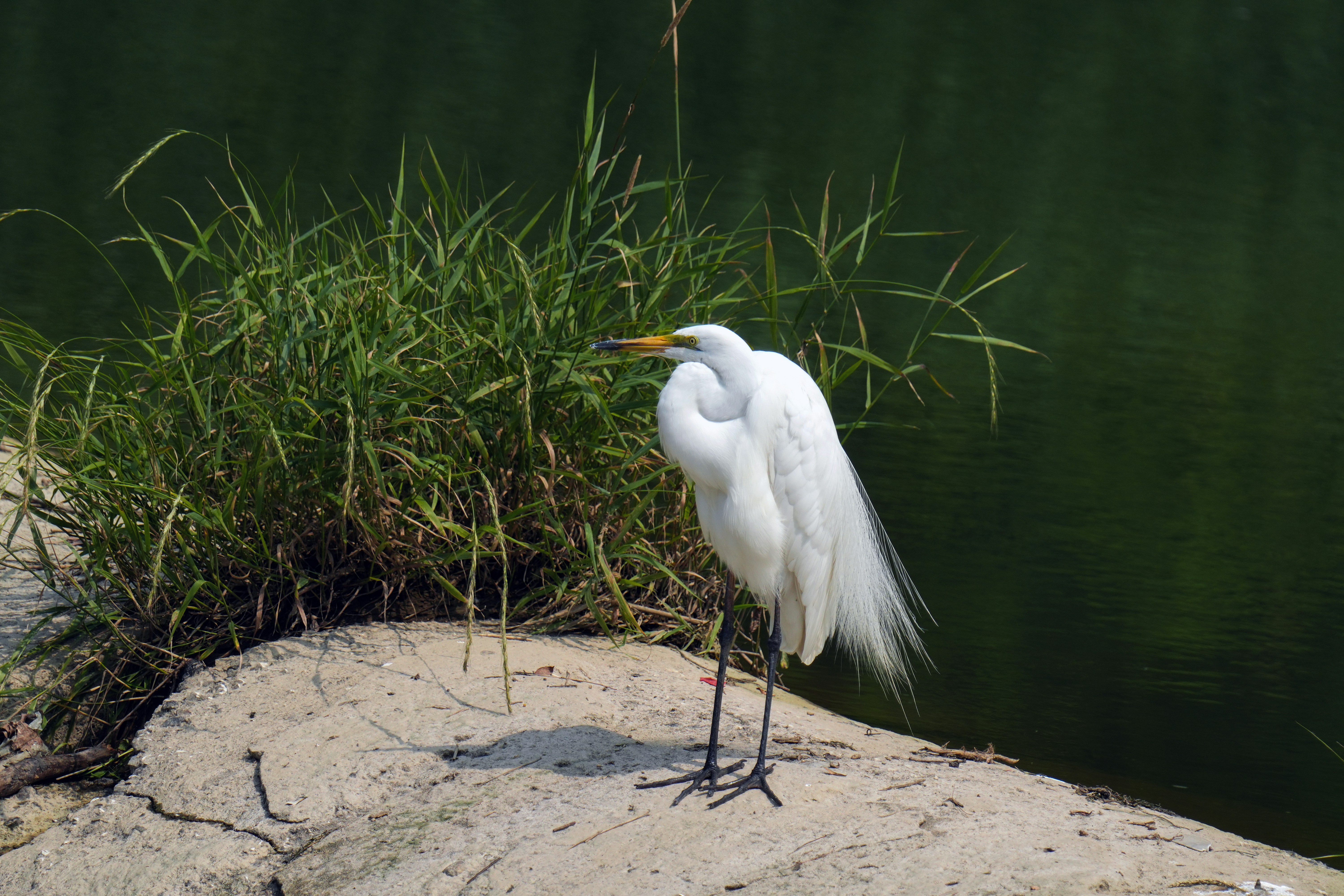 Photo by kim_dae_jeung