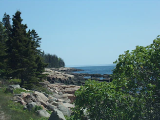 A serene coastal view of Vancouver Island with lush forests meeting the ocean under a clear blue sky.