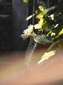 a basket of white flowers sitting on top of a table