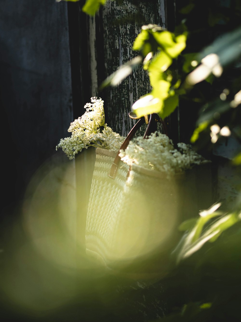 a close up of a basket with flowers in it