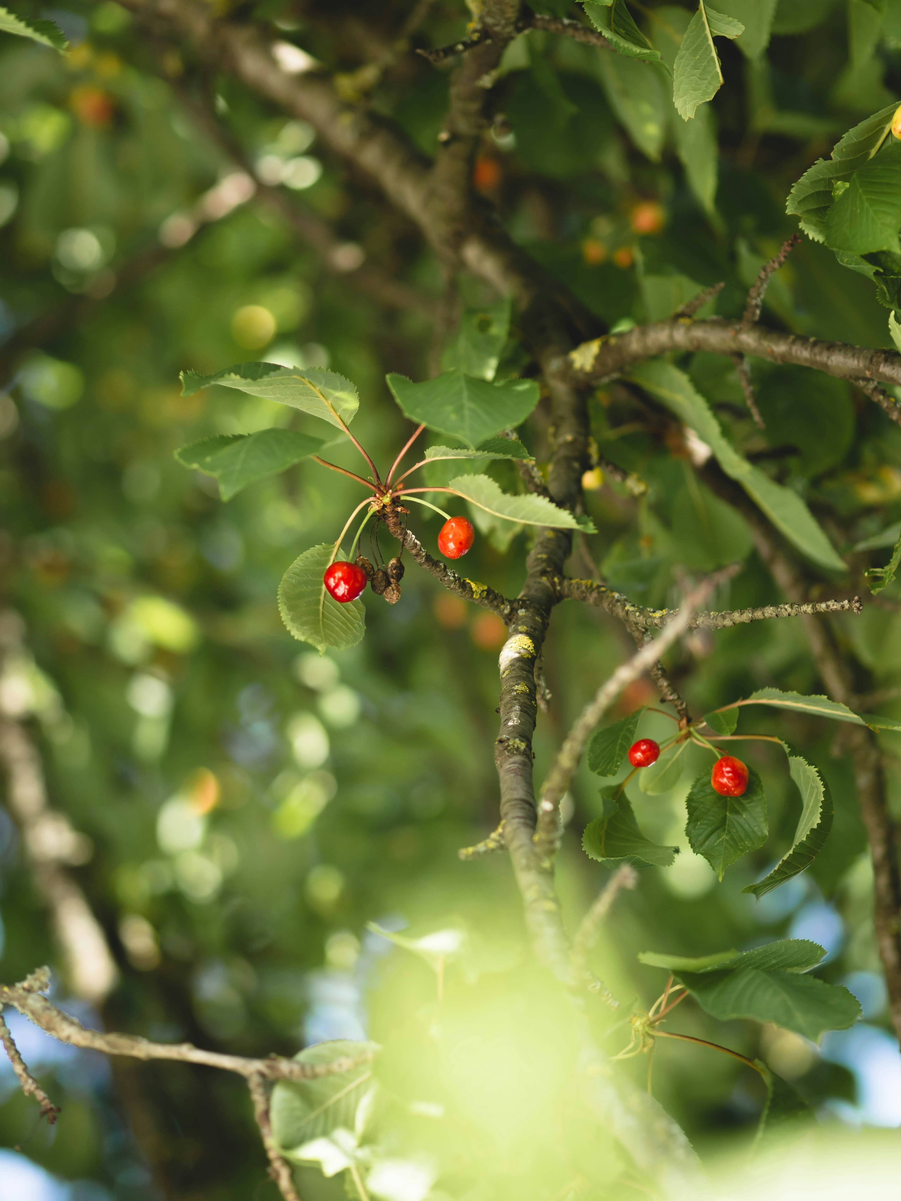 Photo by eileen_kummer