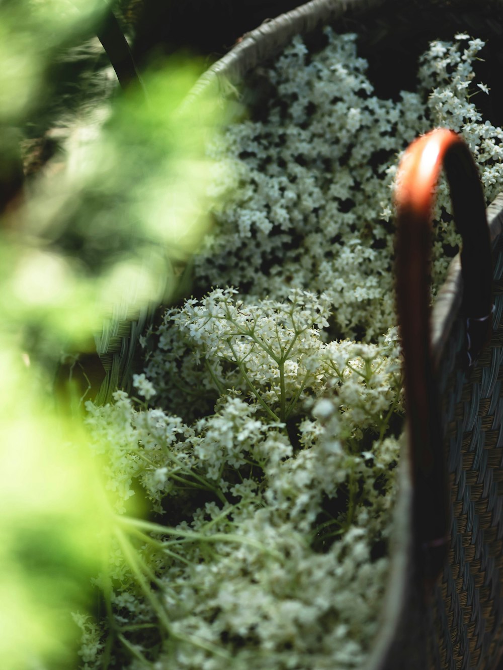 a basket filled with lots of white flowers