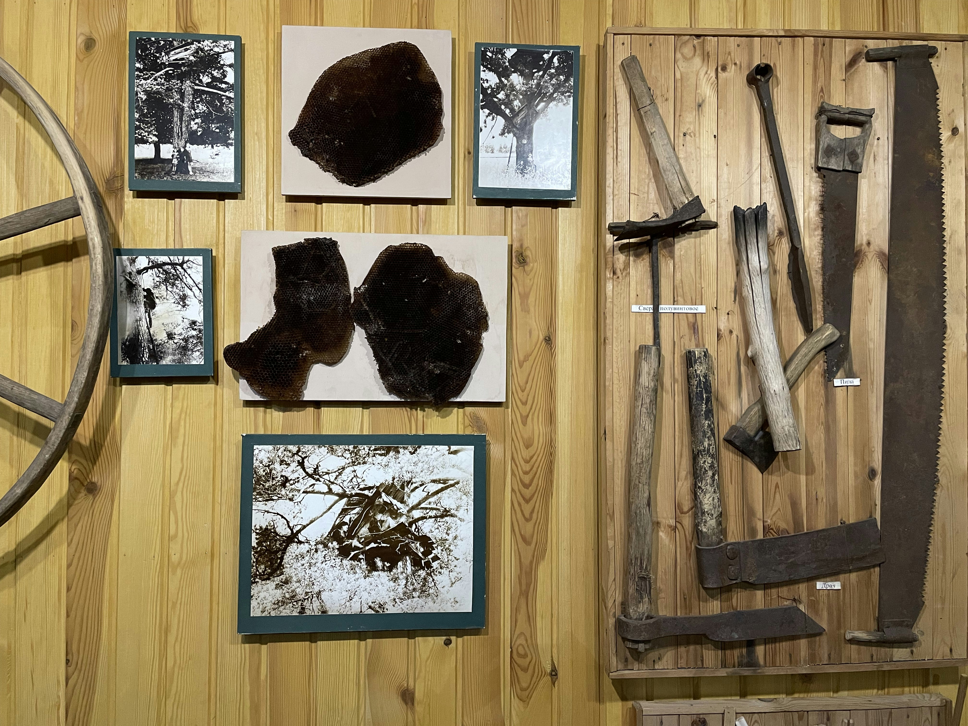 Décorations en chêne massif