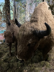 A large bison with thick, brown fur stands next to a smaller bison, likely a calf. They are on a textured surface resembling a forest floor. Behind them, there is a mural of trees and foliage, giving the appearance of a natural habitat.