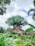 A massive, intricately detailed artificial tree stands prominently in a lush, green landscape. Its trunk is artistically sculpted with various animal carvings, giving it a mythical appearance. The foliage is dense and vibrant, surrounded by diverse tropical plants.