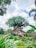 A massive, intricately detailed artificial tree stands prominently in a lush, green landscape. Its trunk is artistically sculpted with various animal carvings, giving it a mythical appearance. The foliage is dense and vibrant, surrounded by diverse tropical plants.