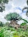 A massive, intricately detailed artificial tree stands prominently in a lush, green landscape. Its trunk is artistically sculpted with various animal carvings, giving it a mythical appearance. The foliage is dense and vibrant, surrounded by diverse tropical plants.